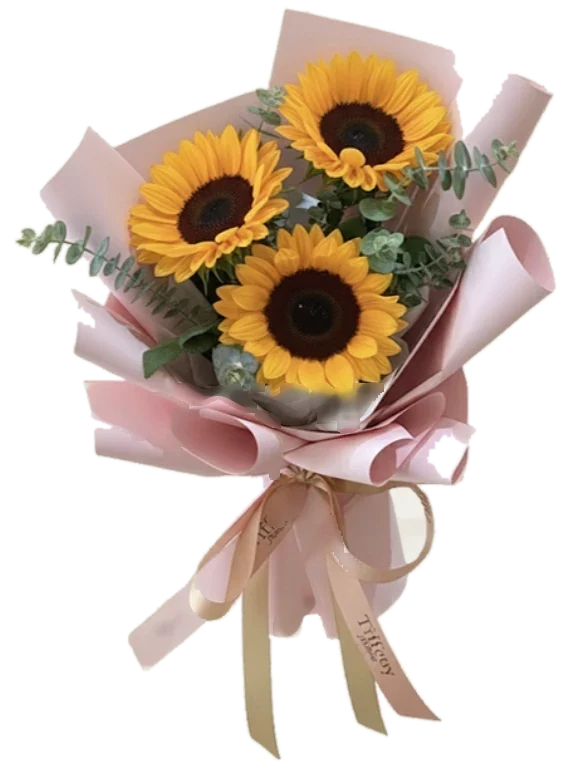 Ramo de tres girasoles con eucalipto en papel rosado