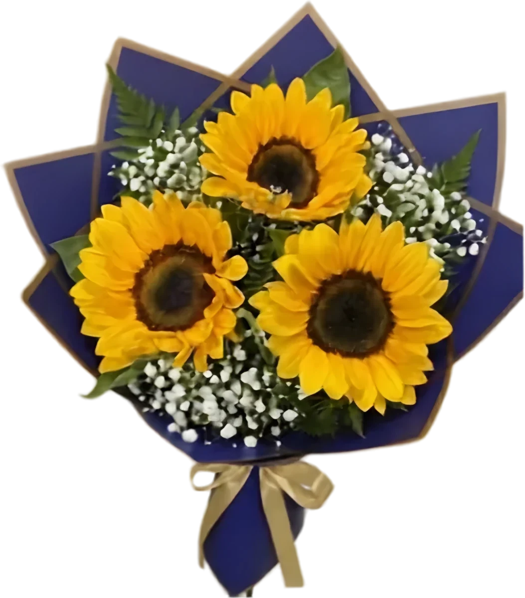 Ramo de tres girasoles con paniculata